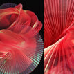 Red / 100cm X 150cm