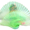 light green / 100cm X 150cm