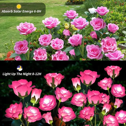 5-Head Solar Rose Garden Lights - White, Red, Blue & Yellow