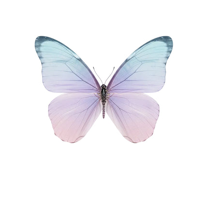 RC Bionic Flapping Wing Butterfly Electric Toy Parent-child Interactiv