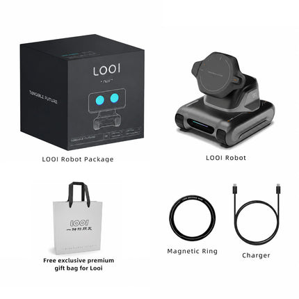 Looi Robot Second Edition - ChatGPT Voice Dialogue and Visual Recognition Smart Toy