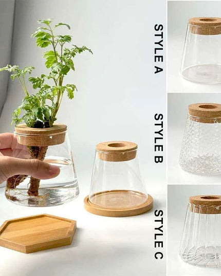 Chic Hydroponic Glass Vase - Modern Mini Planter for Stylish Home Decor