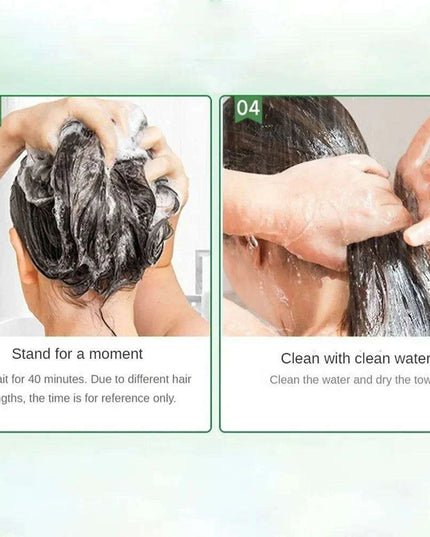 Botanical Bubble Hair Dye Kit - Complete Gray Coverage & Nourishing Plant Essences