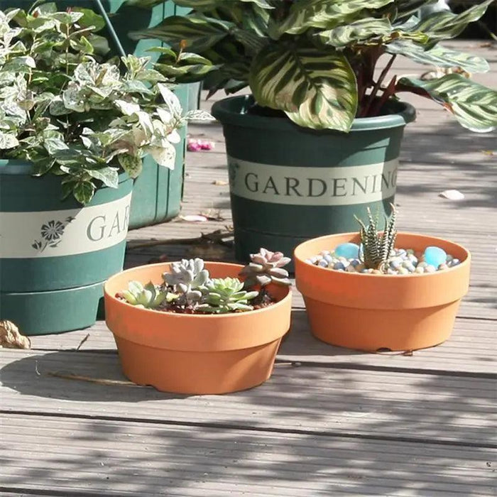 Set of 6 Chic Clay Planters - 12.5cm Pots for Indoor & Outdoor Succulent and Herb Gardening