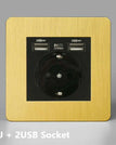 EU 2USB Socket