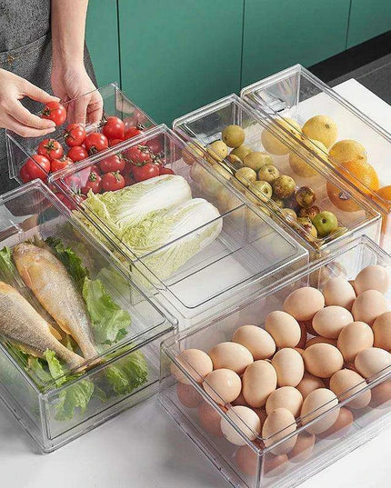 Fridge Organization Freshness Container - Ultimate Storage Solution for Neat Refrigeration