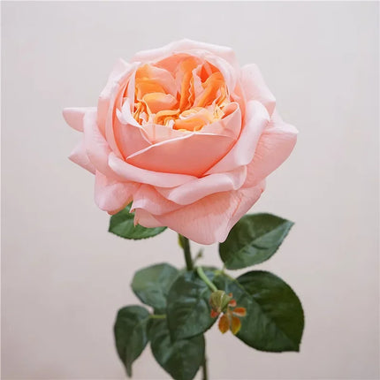 Real Touch Austin Latex Rose Stems — Set of 5