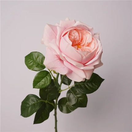 Real Touch Austin Latex Rose Stems — Set of 5