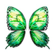 A Butterfly fabric / China Mainland