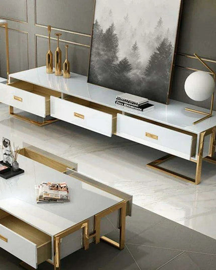 Sophisticated Multi-Functional TV Stand with Ample Storage