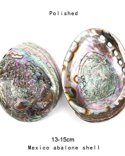 Natural Paua Abalone Shell Smudging Set with Tripod Stand - 11-13CM Eco-Friendly Home Accent