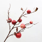 Apple red