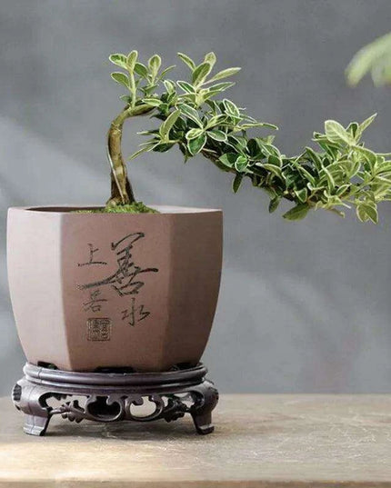 Chic Polygonal Purple Clay Vase - Stylish Chinese-Inspired Home Decor Planter