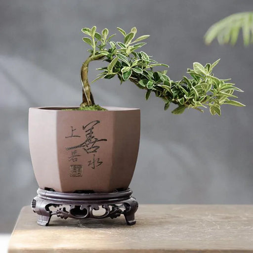 Purple Clay Polygon Flower Pot - Elegant Home and Garden Decor Vase