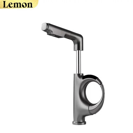 Pull-Out Basin Faucet with Digital Temperature Display & Adjustable Height