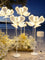 LED decorative luminous peony flowers, wedding road guide, white silk decoration, for wedding party birthday home decoration led-decorative-luminous-peony-flowers-wedding-road-guide-white-silk-decoration-for-wedding-party-birthday-home-decoration-1