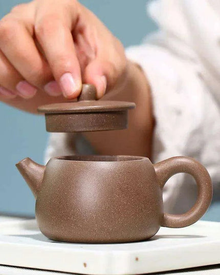 Custom Handmade 100ml Yixing Purple Clay Teapot by Artisan Pan Ruiling - Elegant Zisha Tea Infuser Set