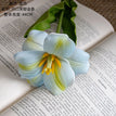 blue / 2pcs