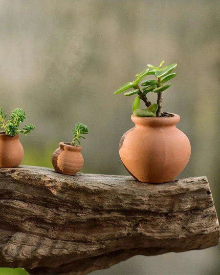 Artistic Terracotta Planter Set - Ideal for Succulents and Creative Projects