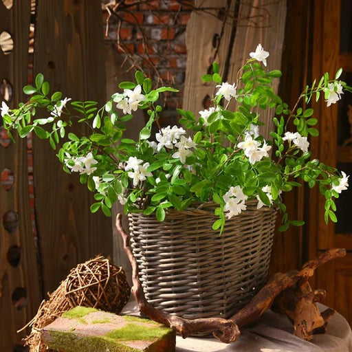 98cm Lifelike Artificial Bean Locust Flower Arrangement