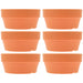 Set of 6 Chic Clay Planters - 12.5cm Pots for Indoor & Outdoor Succulent and Herb Gardening