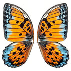L Butterfly fabric
