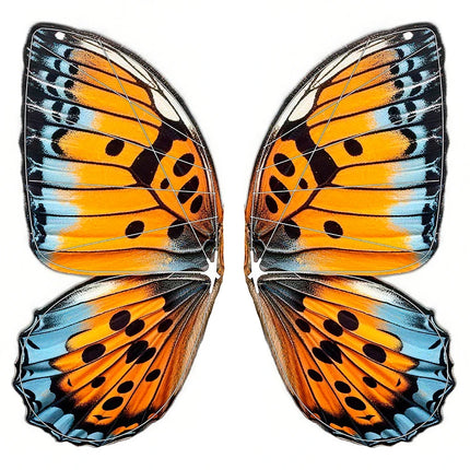 CTorque Lightweight Carbon Rod & Butterfly Wing Fabric for RC Bionic B