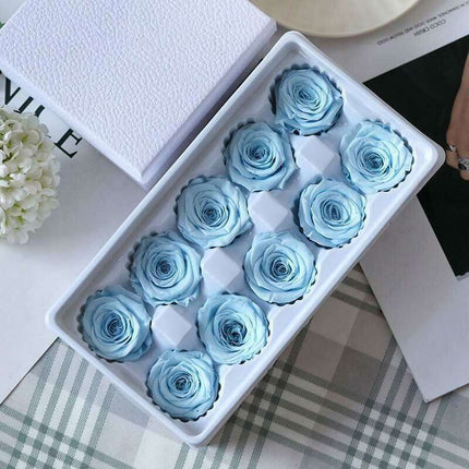 Eternal Blooms: Luxurious 10-Piece Preserved Rose Heads Collection
