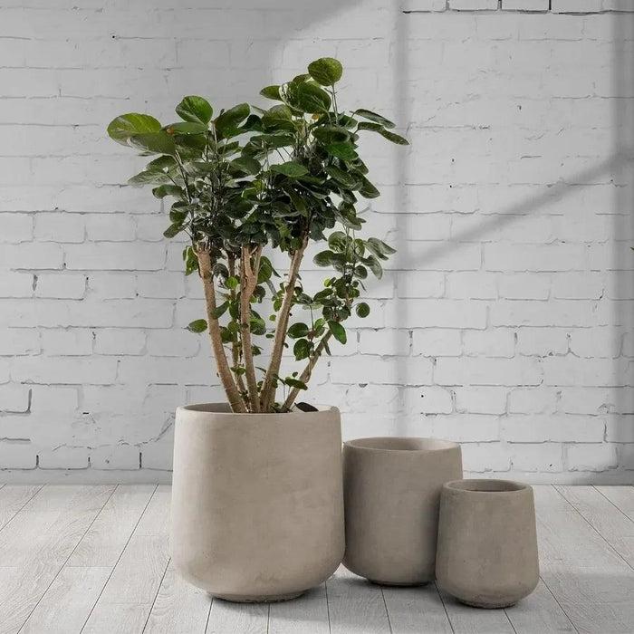 Sleek Concrete Circular Plant Pot Set with Gentle Curves and Drainage Openings