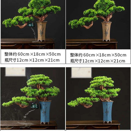 Prosperity Emblem Chinese Pine Bonsai - A Luxurious Symbol of Wealth and Abundance