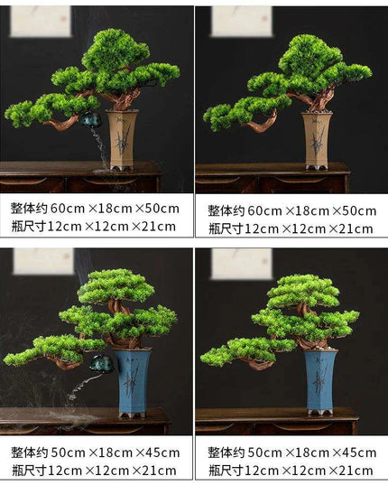 Prosperity Emblem Chinese Pine Bonsai - A Luxurious Symbol of Wealth and Abundance