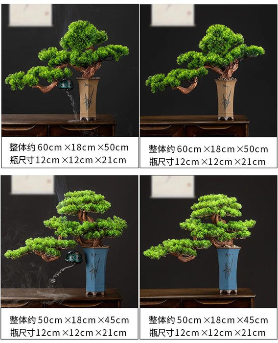 Chinese Pine Prosperity Bonsai - Handcrafted Symbol of Wealth and Fortune