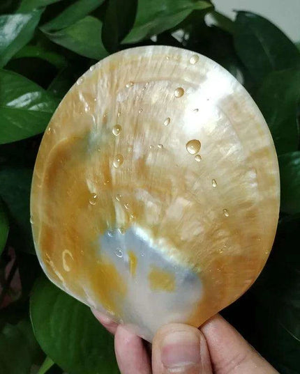 Elegant Yellow Abalone Pearl Smudge Bowl for Spiritual Practices and Crafting