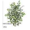 150cm / Without pot