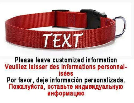 Personalized Nylon Dog ID Collar – Custom Name & Contact Info for Every Dog Breed