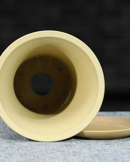 Elegant Lavender Sand Orchid Planter Set: Chic Botanical Accent