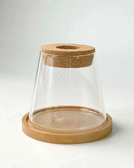 Chic Hydroponic Glass Vase - Modern Mini Planter for Stylish Home Decor