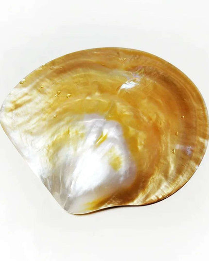 Elegant Yellow Abalone Pearl Smudge Bowl for Spiritual Practices and Crafting