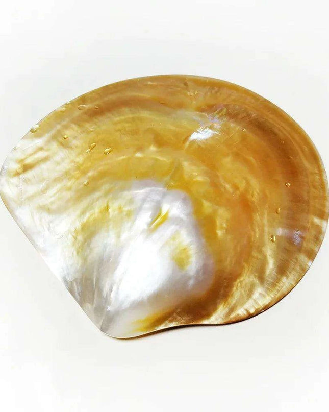 Elegant Yellow Abalone Pearl Smudge Bowl for Spiritual Practices and Crafting
