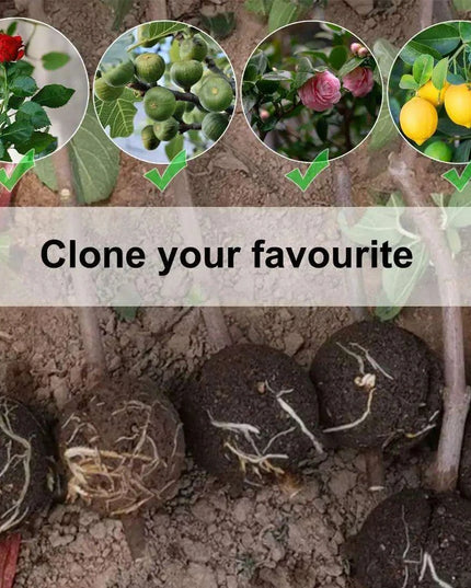 10-Pack High Pressure Rooting Ball Kits for Easy Plant Propagation and Air Layering