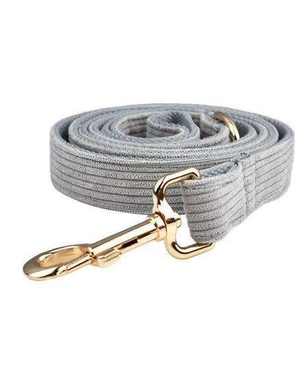 Personalized Light Grey Corduroy Dog Collar and Leash Set with Stylish Accessories
