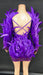 Enchanting Purple Feather Backless Sheath Mini Dress for Nightclub Performances