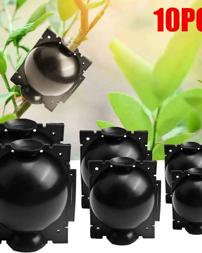 10-Pack Reusable Plant Rooting Spheres for Seamless Air Layering and Propagation