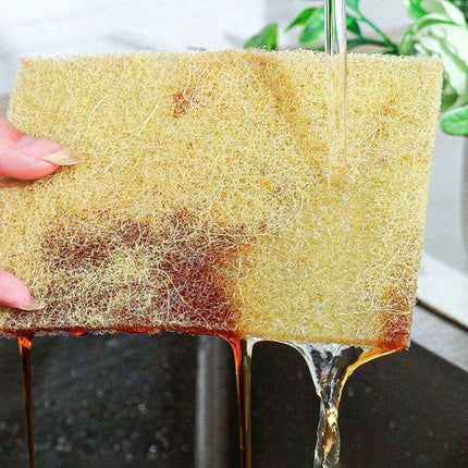 Sustainable Sisal Microfiber Kitchen Cleaning Sponges - Available in Sets of 5, 10, or 20