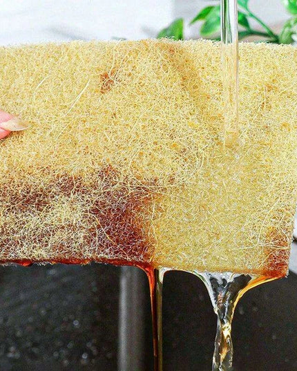 Sustainable Sisal Microfiber Kitchen Cleaning Sponges - Available in Sets of 5, 10, or 20