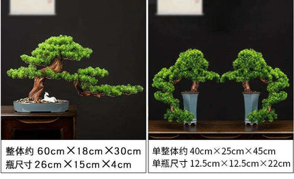 Prosperity Emblem Chinese Pine Bonsai - A Luxurious Symbol of Wealth and Abundance