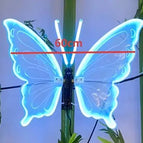 Blue light -60cm