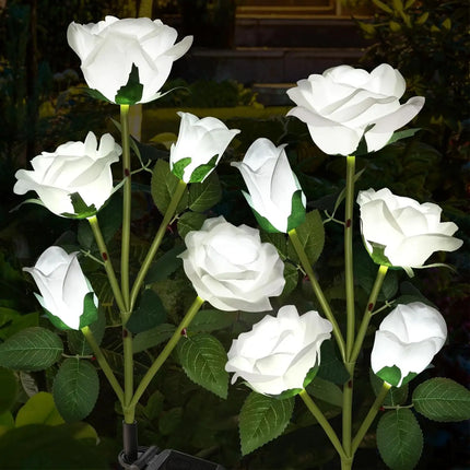 5-Head Solar Rose Garden Lights - White, Red, Blue & Yellow