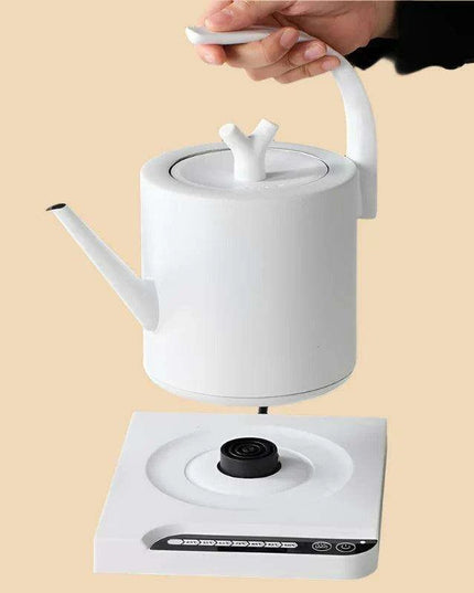 Elegant Precision Electric Kettle with Quick Boil and Temperature Settings
