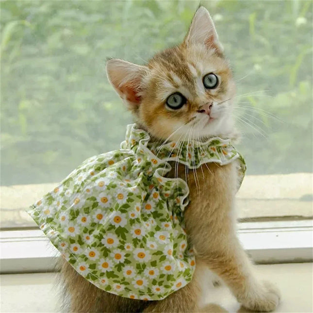 Sphynx Cat Floral Suspender Dress